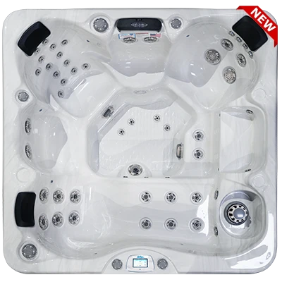 Avalon-X EC-849LX hot tubs for sale in Richardson